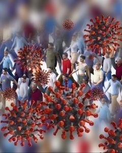Tracking outcomes during the COVID-19 pandemic (August 2020) – Divergence within Australia