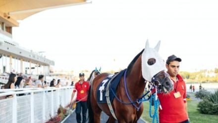 Has the Melbourne Cup run its race?