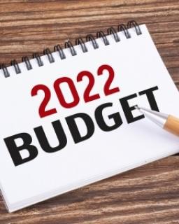 Cost of Living Budget Package: Distributional Modelling