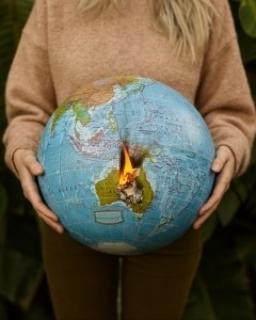 Bushfire recovery and response