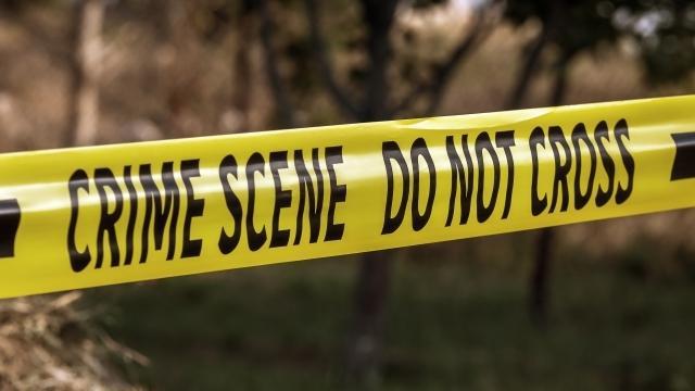 Postgraduate Study Options: Applied Criminology Webinar